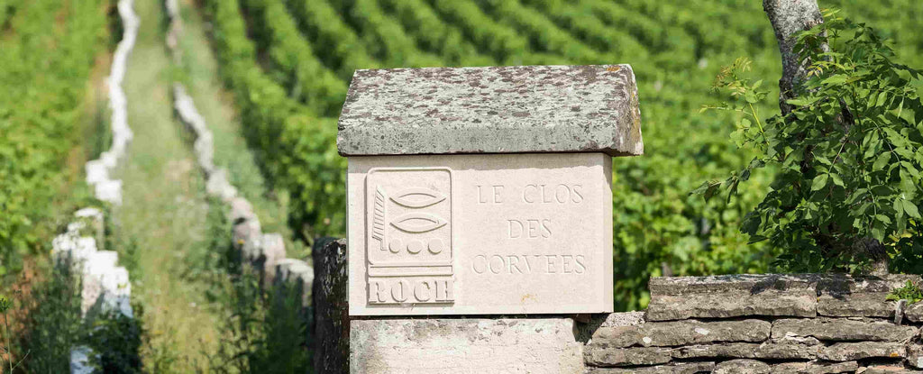 Burgdy Review | Prieure Roch Nuits Saint Georges Le Clos des Corvees. Running in DRC Heritage